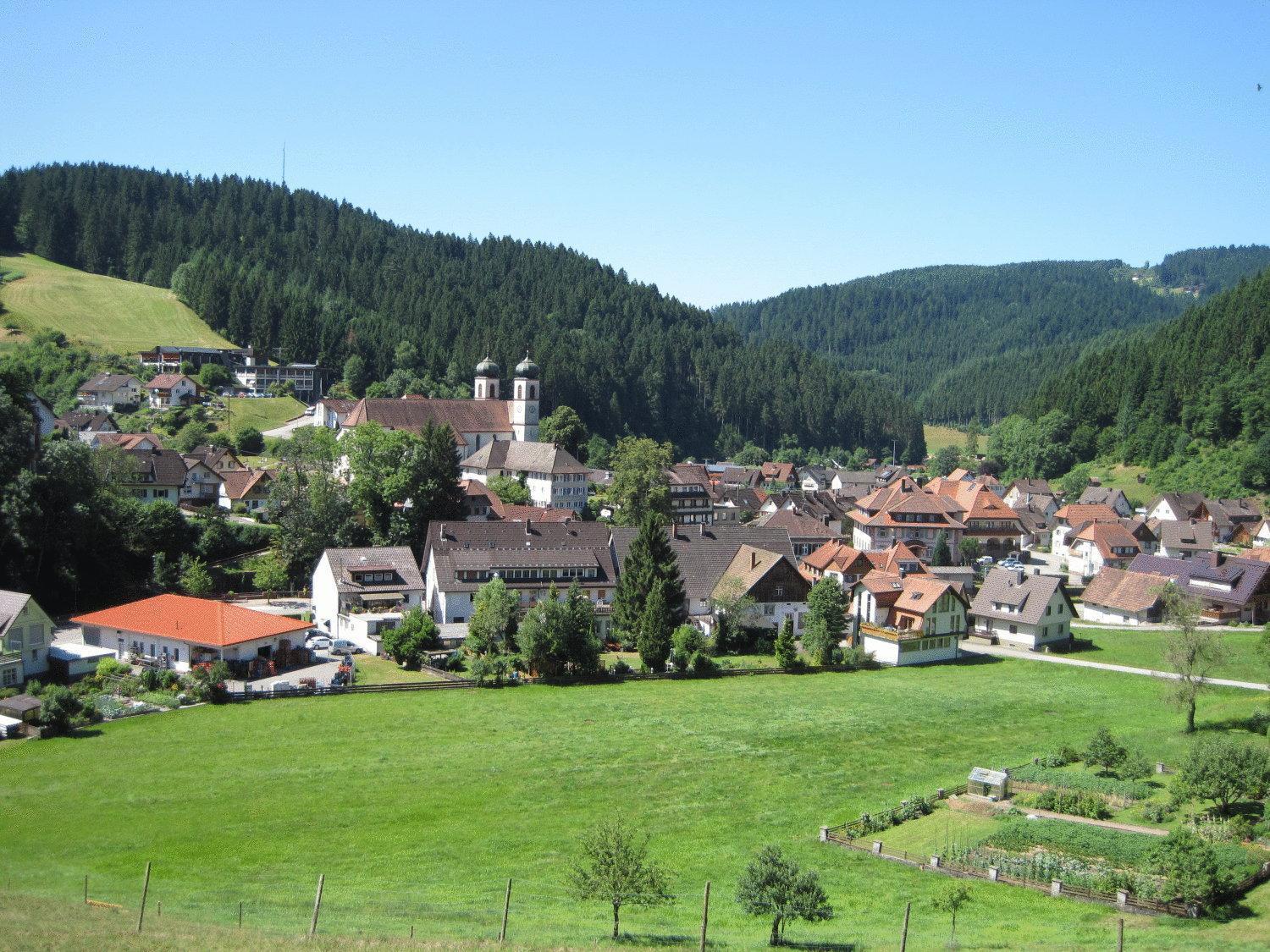 Hotel Restaurant Albans Sonne Bad Rippoldsau-Schapbach Bagian luar foto