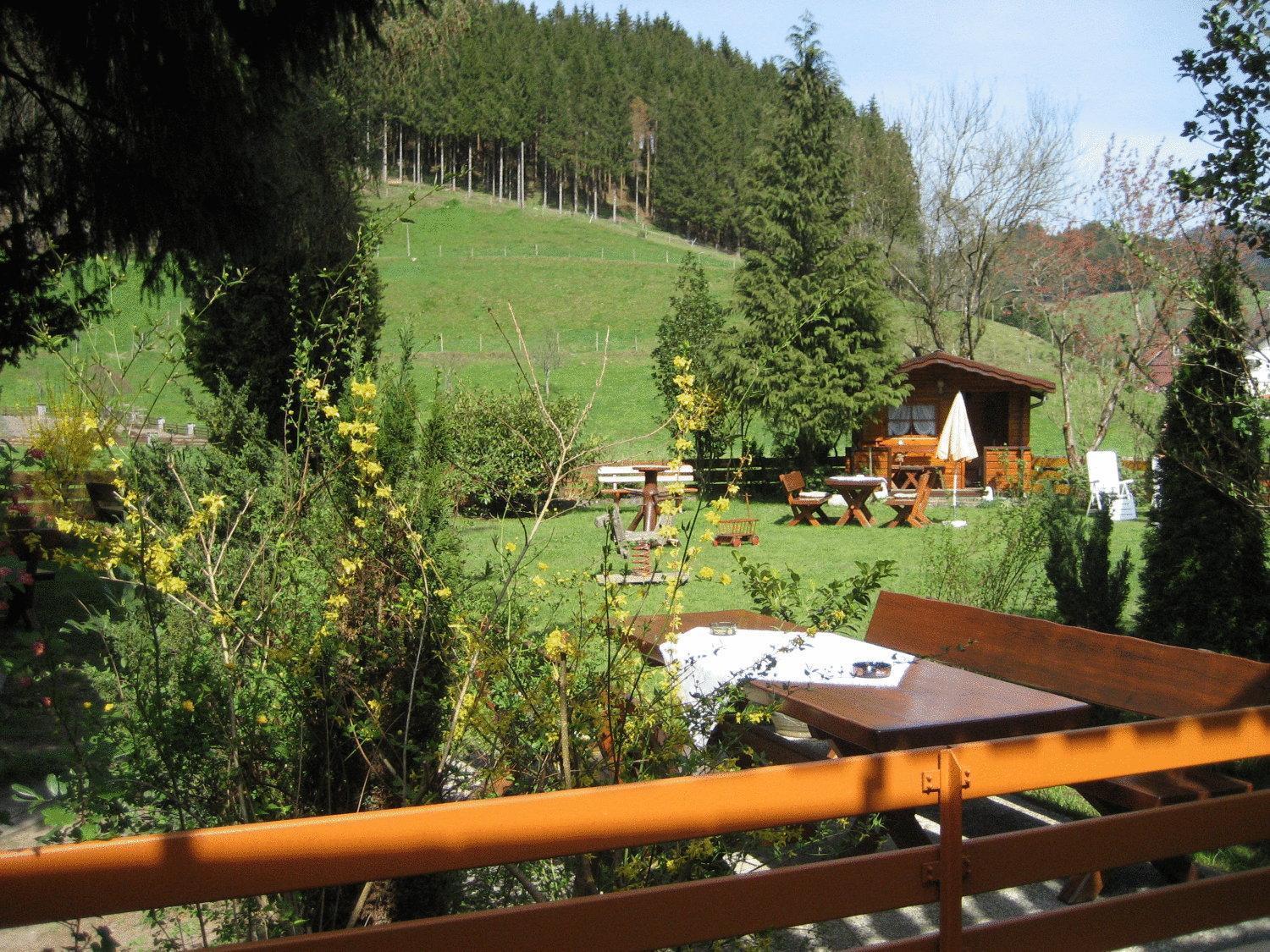 Hotel Restaurant Albans Sonne Bad Rippoldsau-Schapbach Bagian luar foto